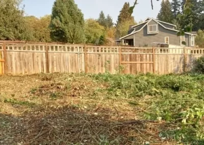Affordable Yard Clean-Up