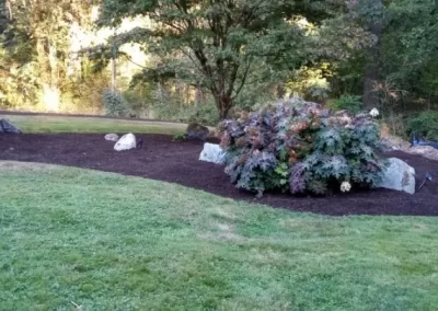 Dependable Landscape Maintenance