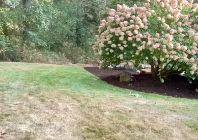 Exceptional Landscape Maintenance
