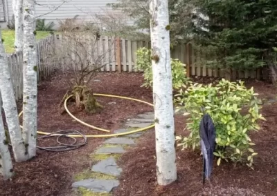 Exceptional Yard Clean-Up