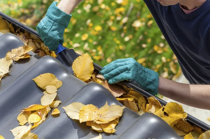 Gutter Cleaning Services