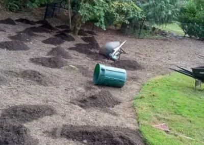 High-quality Landscape Maintenance