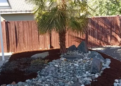 Professional Landscape Maintenance