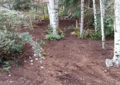 Professional Landscape Maintenance in Marysville, WA
