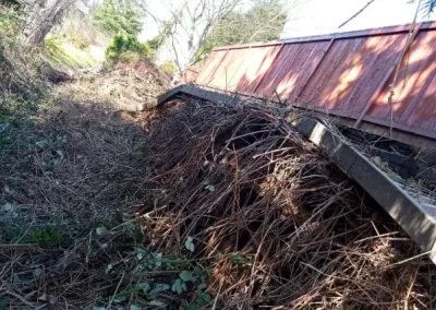 Professional Yard Clean-Up