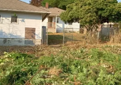 Proficient Yard Clean-Up