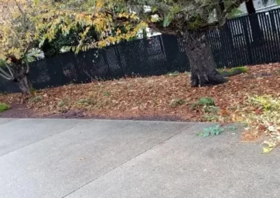 Quality Yard Clean-Up