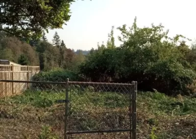 Reliable Yard Clean-Up
