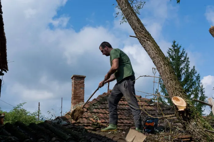Roof Cleaning