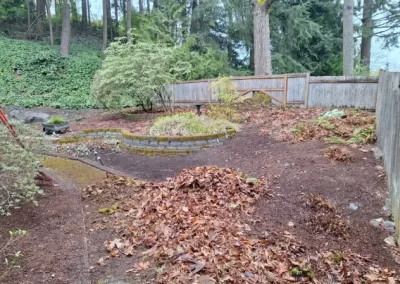 Trusted Yard Clean-Up