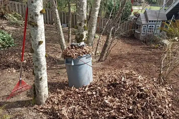 Yard Clean-Up