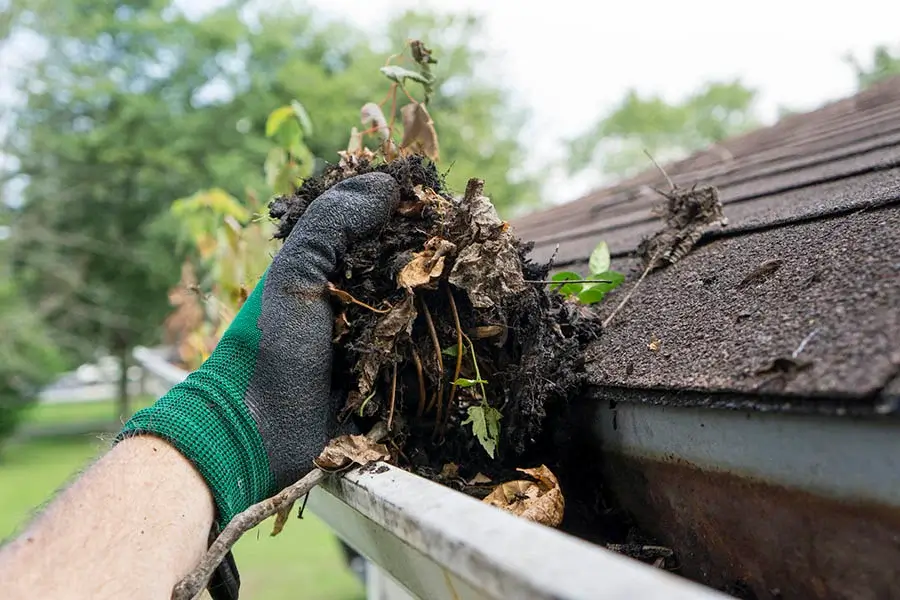 How To Clean Gutters in Marysville, WA