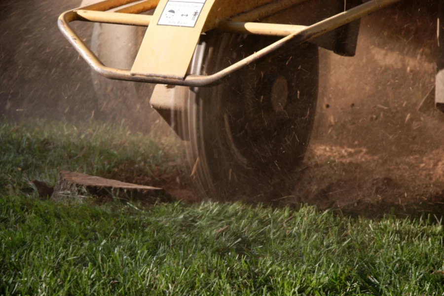 How to Remove a Tree Trunk in Marysville, WA