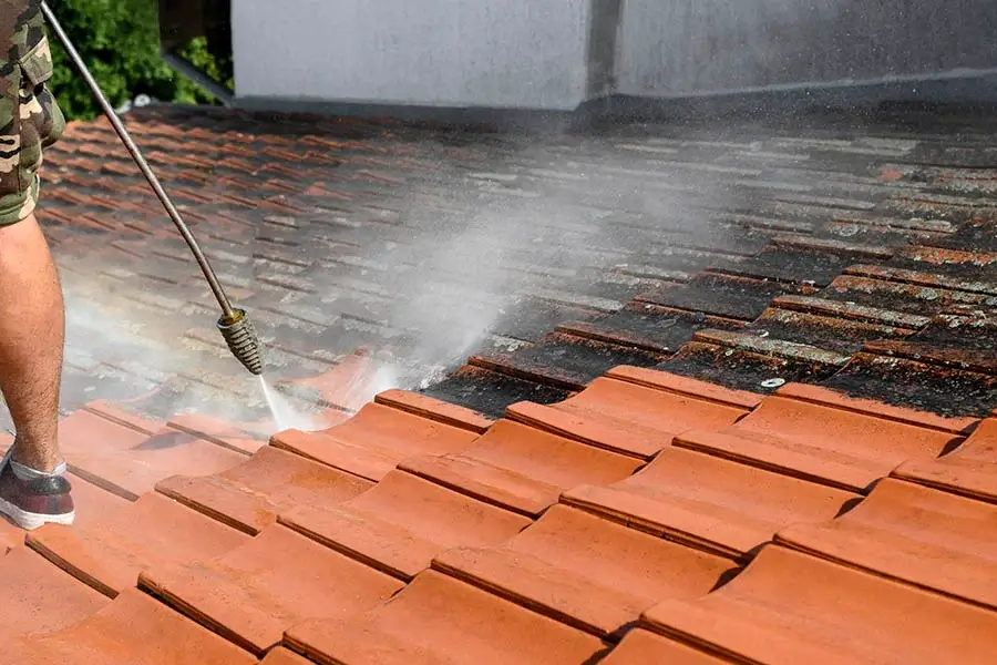 Dependable Roof Cleaning in Marysville, WA