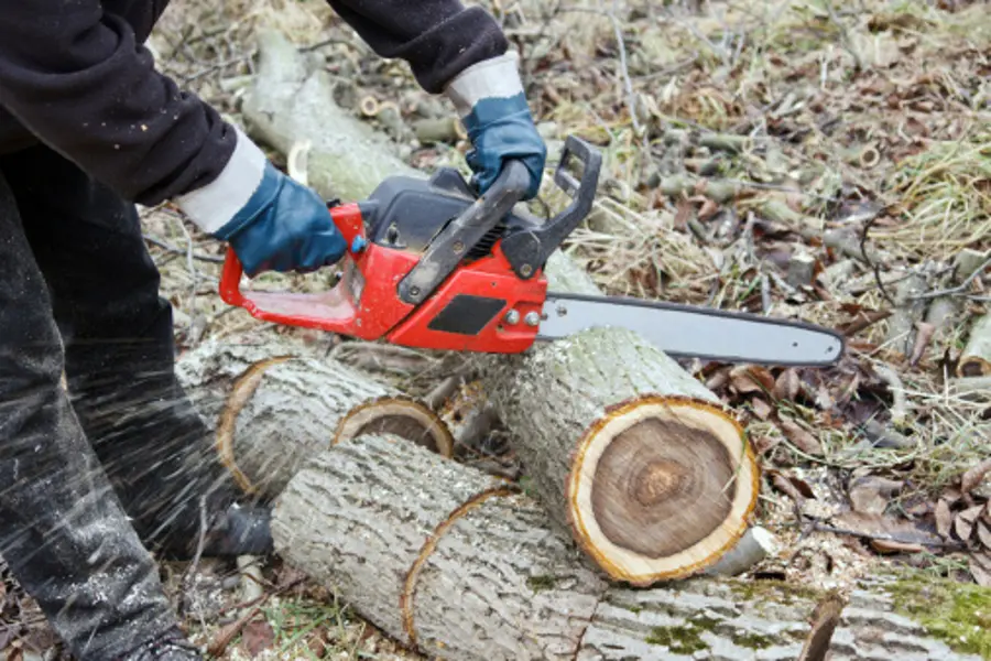 Reliable Tree Removal Services Marysville, WA